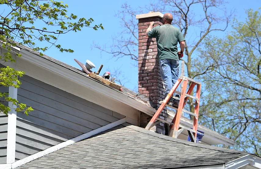 Chimney & Fireplace Inspections Services in McLean, VA